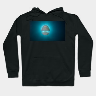 Jellyfish under the sun Hoodie